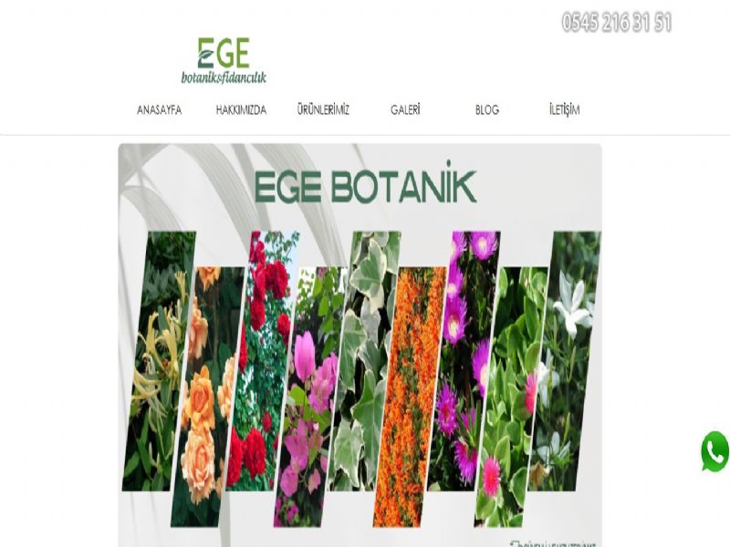 Ege Botanik Peyzaj Fide - zmir web sitesi